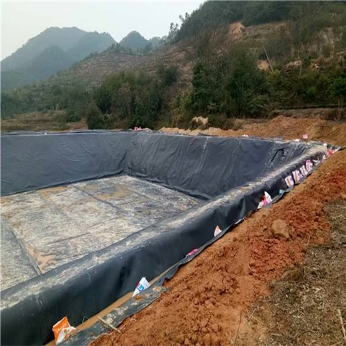 您了解魚塘防滲膜施工方法有哪些嗎？